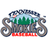 Tennessee Smokies